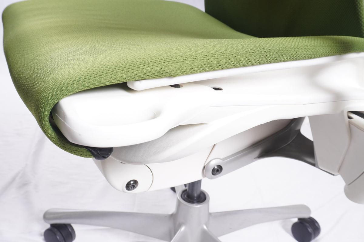Herman Miller Embody Chairs, Pair of
