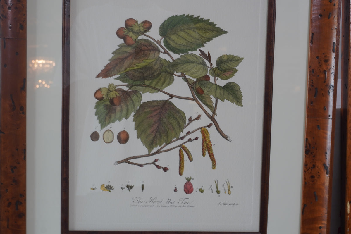 Set of 8 Pocker and Sons Framed Botanicals