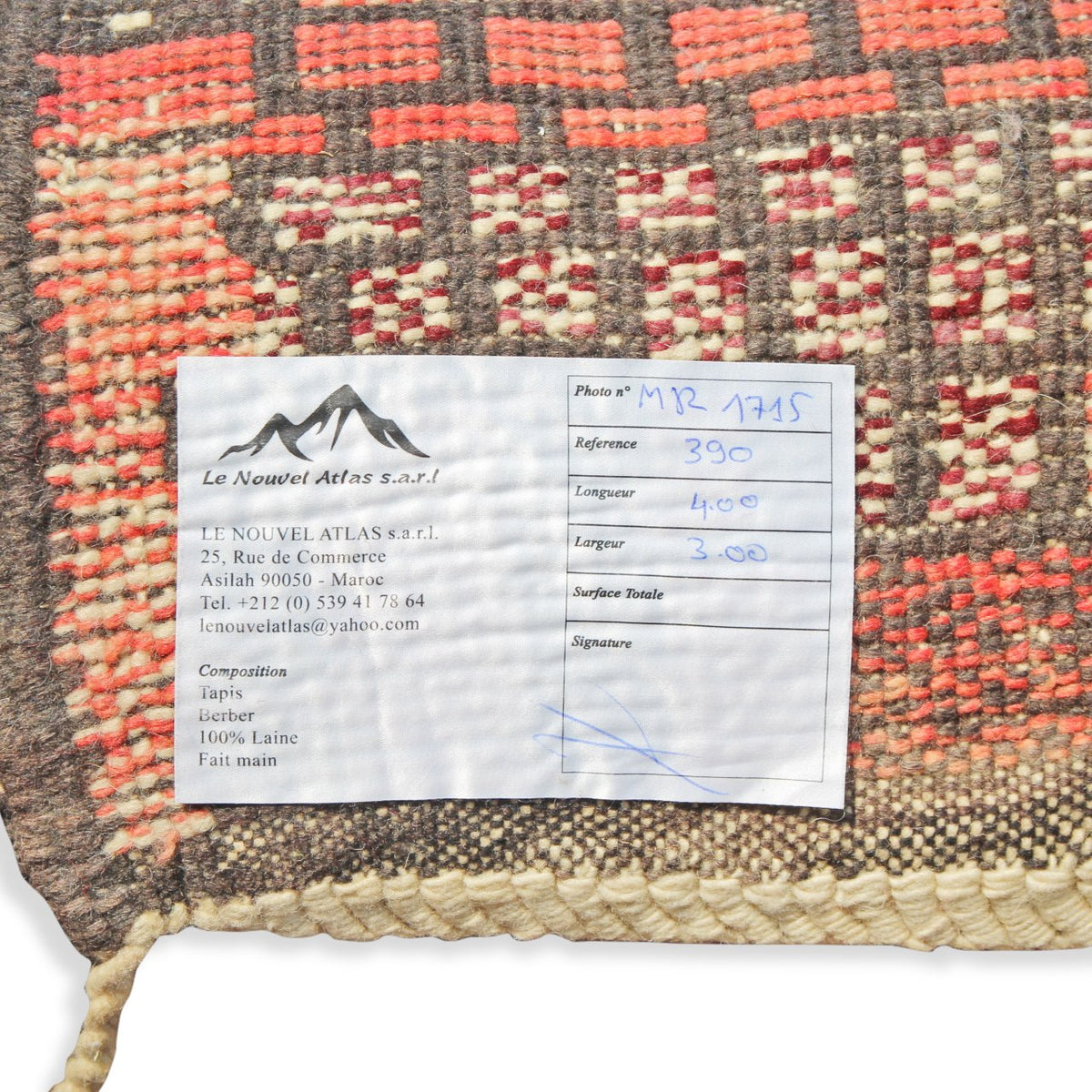 Moroccan Hand Woven Le Nouvel Atlas Carpet (9ft 9in X 13ft 4in)