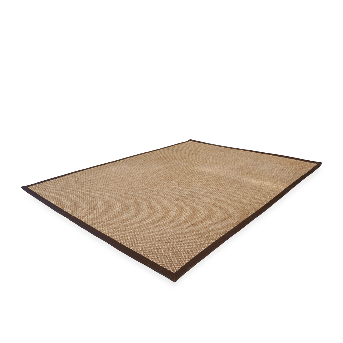 Patterson Flynn and Martin Natural Woven Sisal Carpet with Leather Binding Trim (8 ft x 10 ft)