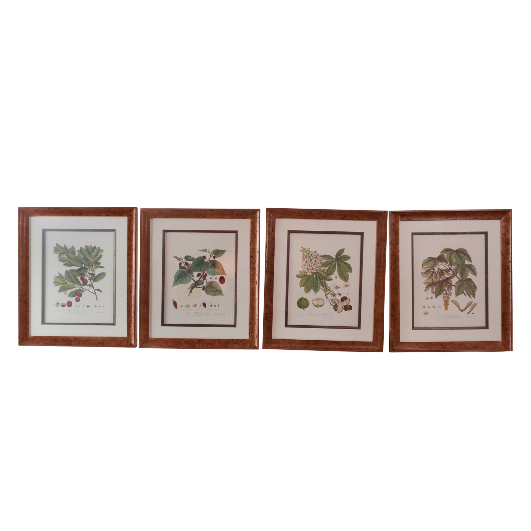 Set of 8 Pocker and Sons Framed Botanicals