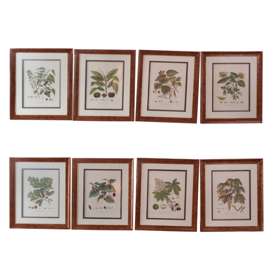 Set of 8 Pocker and Sons Framed Botanicals