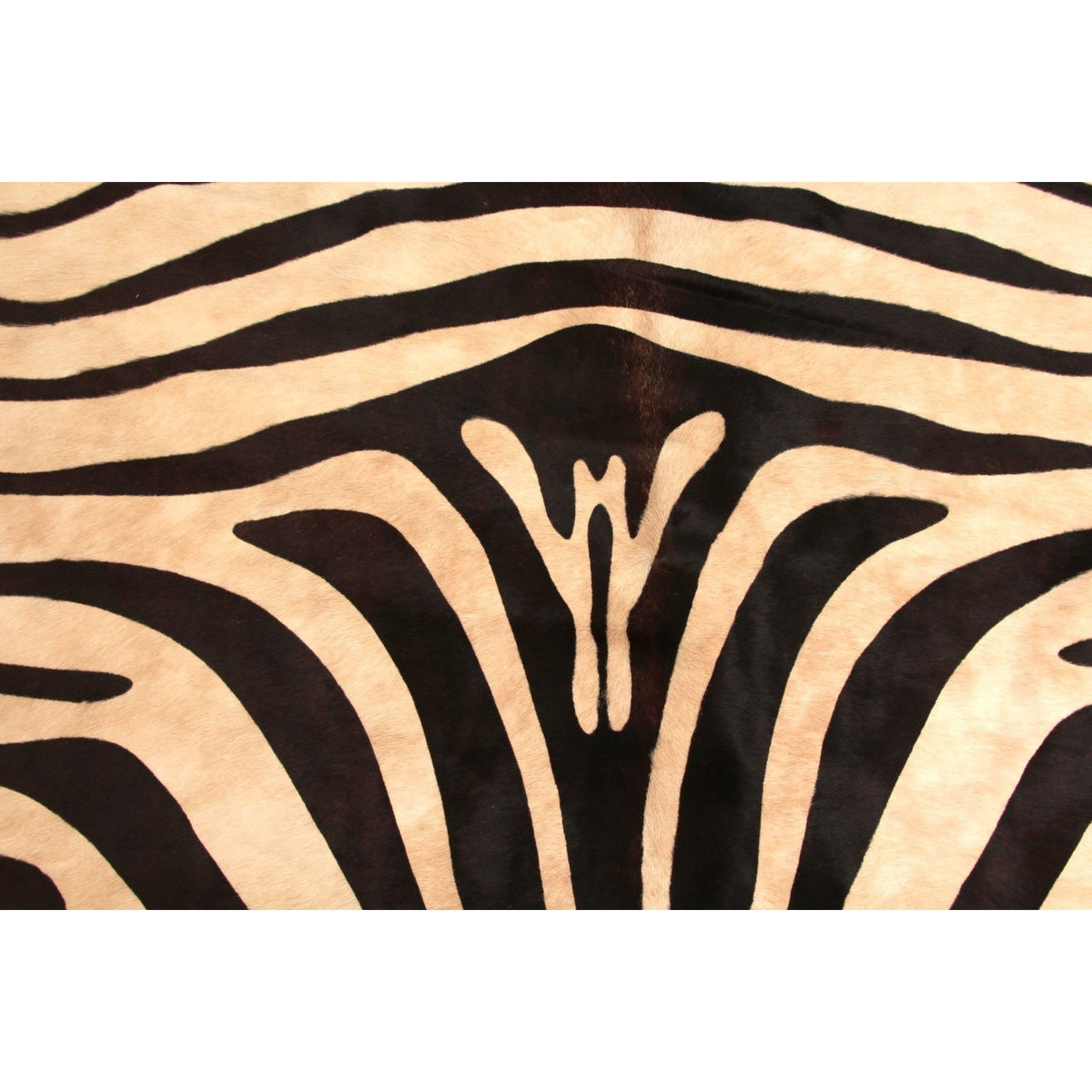Kravet Brazilian Cowhide Carpet with Zebra Print (6 ft 5 in x 7 ft 7 in)