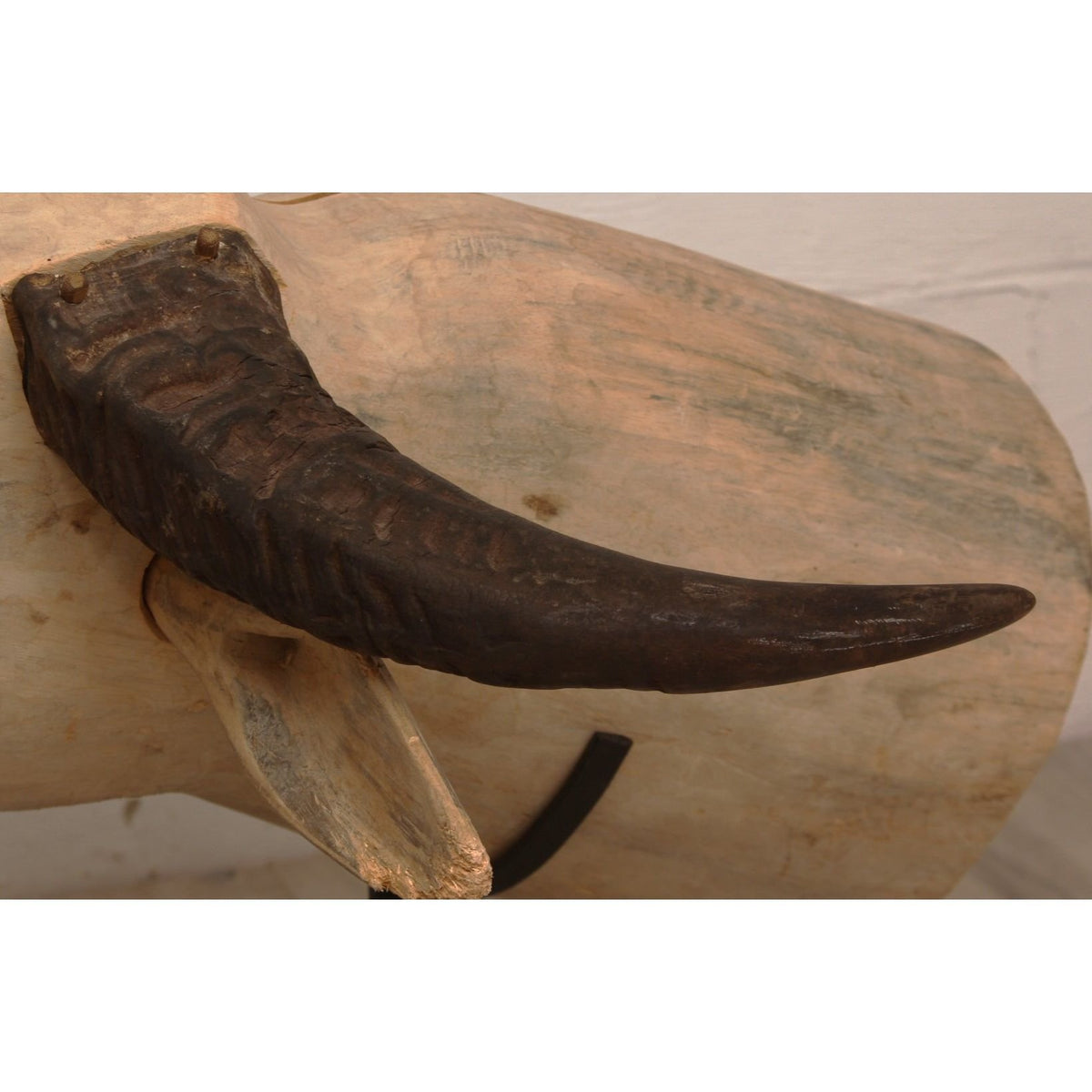 Vintage Hand Carved Water Buffalo Head Sculpture