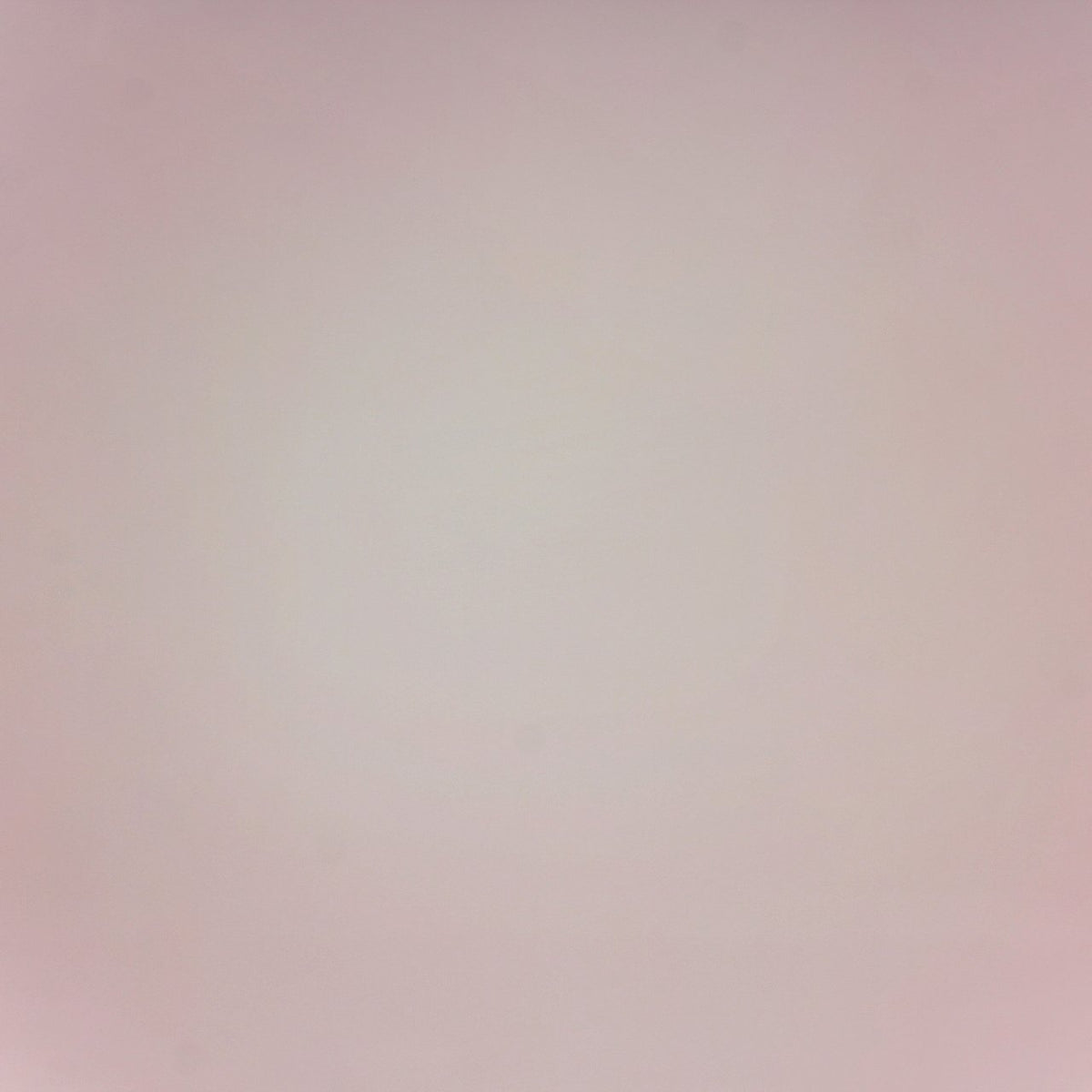 Anne Senstad, A4, 1997/2010