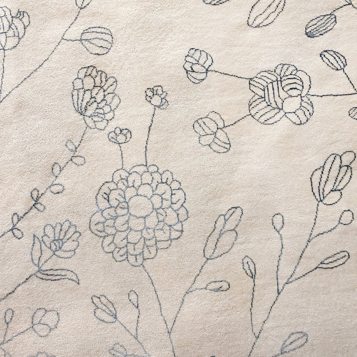 BDDW Carpet