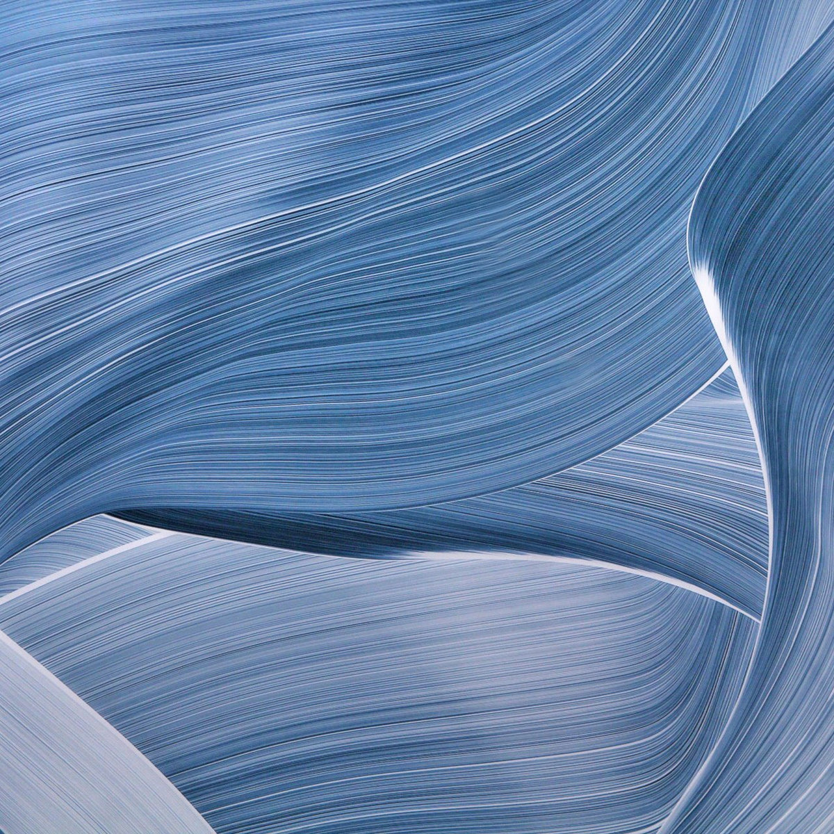 Kalabis by Christoph Schrein