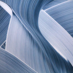 Kalabis by Christoph Schrein