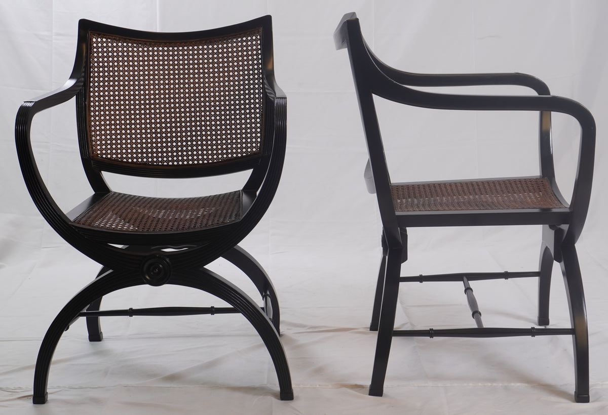 English Regency Style Mahogany and Cane Curule Form Armchairs