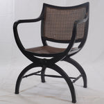 English Regency Style Mahogany and Cane Curule Form Armchairs