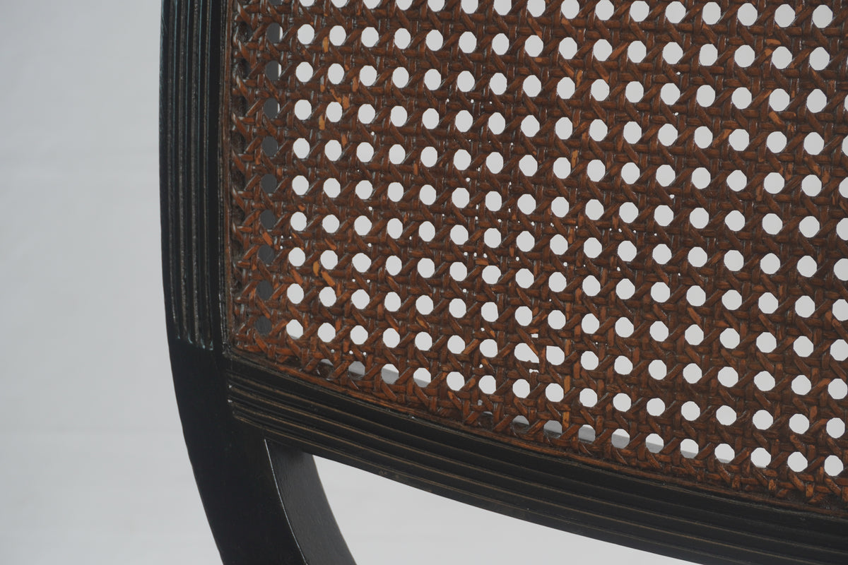 English Regency Style Mahogany and Cane Curule Form Armchairs