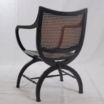 English Regency Style Mahogany and Cane Curule Form Armchairs
