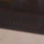 Italian Microlight Desk Lamp by Ernesto Gismondi for Artemide, C1990s