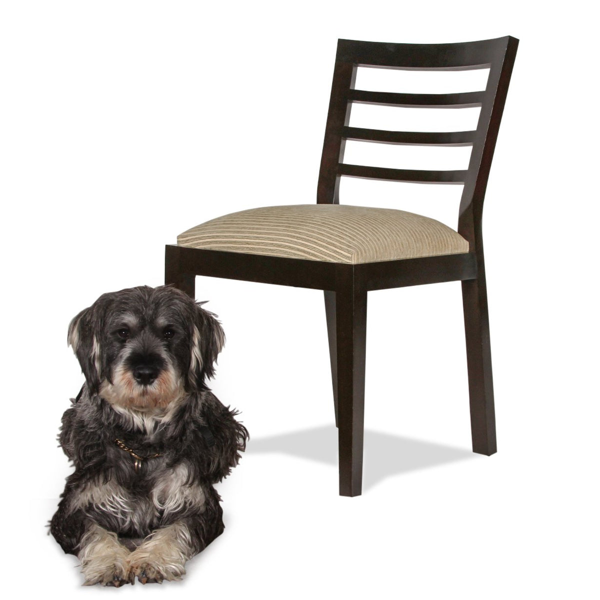 Set of 10 Dakota Jackson Dining Chairs