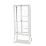 Dulton Modern Industrial Style Steel and Glass Medical Cabinet