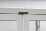 Dulton Modern Industrial Style Steel and Glass Medical Cabinet