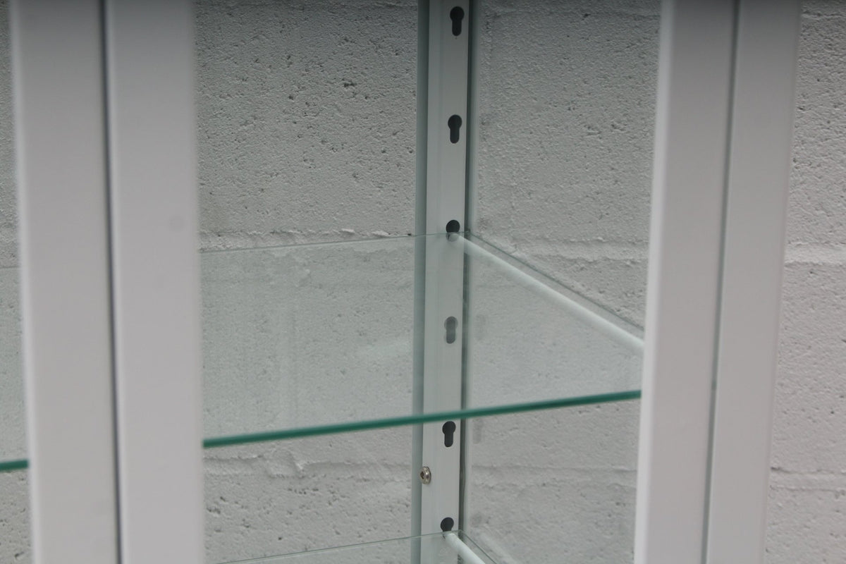 Dulton Modern Industrial Style Steel and Glass Medical Cabinet