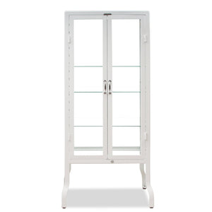 Dulton Modern Industrial Style Steel and Glass Medical Cabinet