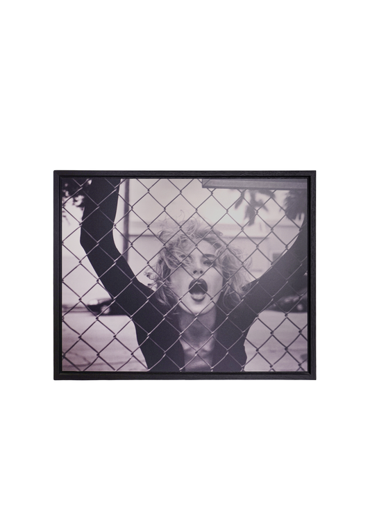 Michel Comte Sharon Stone Esquire Photo