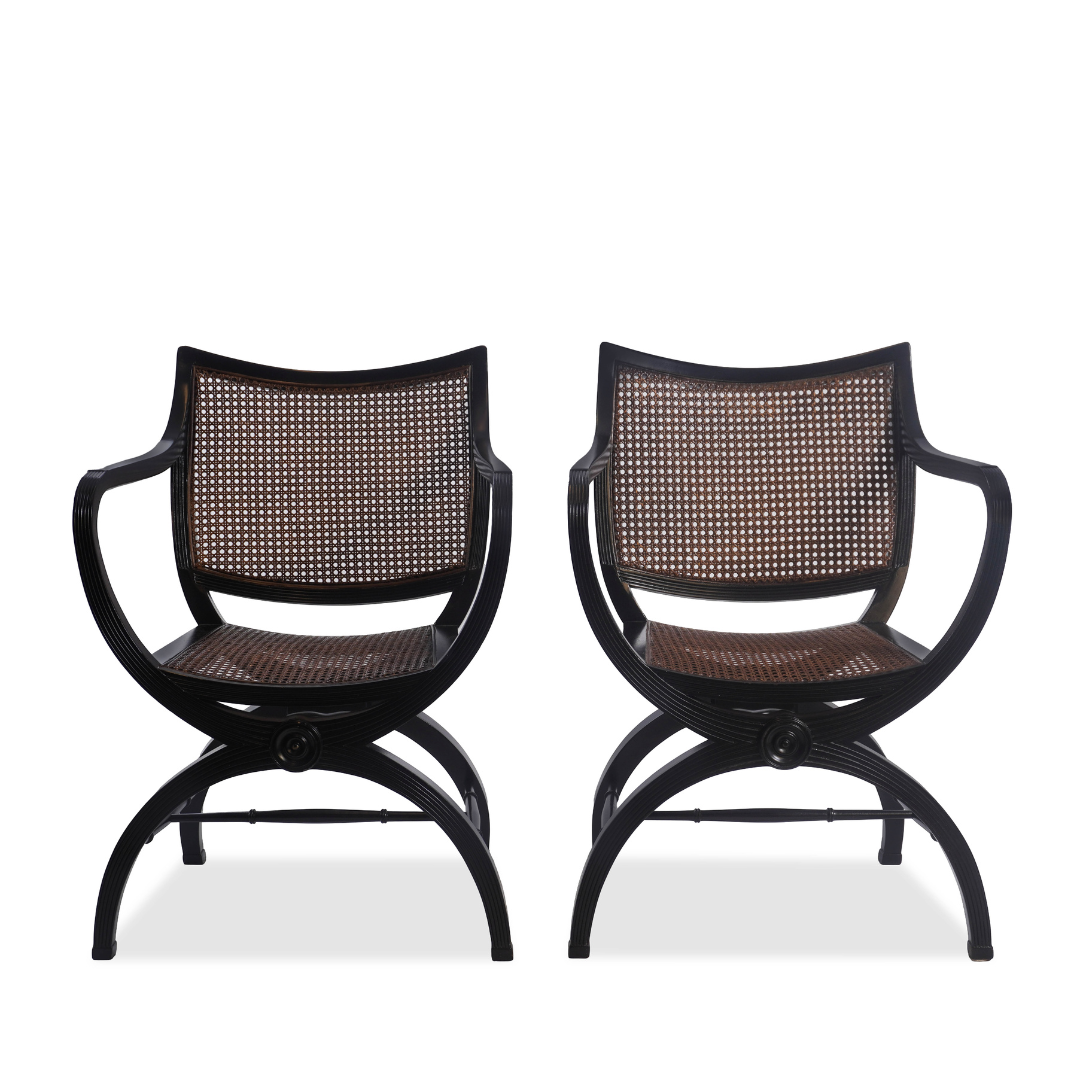 English Regency Style Mahogany and Cane Curule Form Armchairs