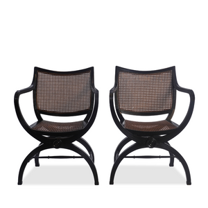 English Regency Style Mahogany and Cane Curule Form Armchairs