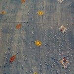 Handmade Tribal Gabbeh Carpet (3 ft 8 in x 2 ft 3 in)