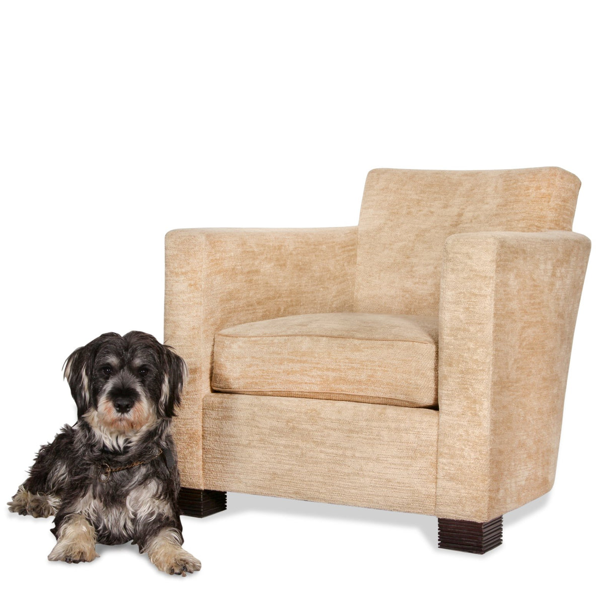 Holly Hunt Mr Benny Armchair Designed by John Hutton