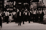 Black and White Matthieu Casimiri Photograph