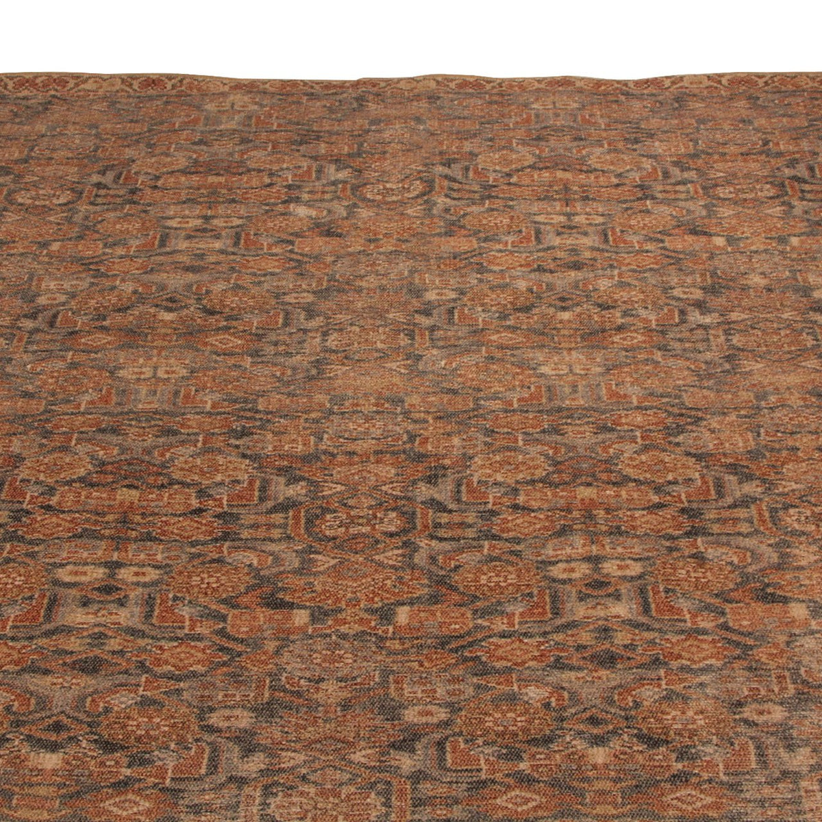 Jaipur Living Kindred Keiran Knd16 Area Rug (9 ft x 12 ft)