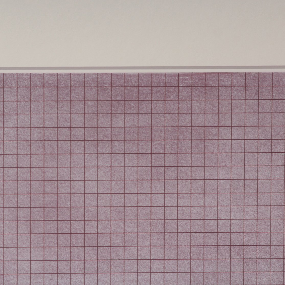John Franklin, Untitled - Lavender with pencil, 2005