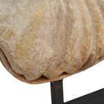 Large Cretaceous Prehistoric Fossilized Ammonite on Black Metal