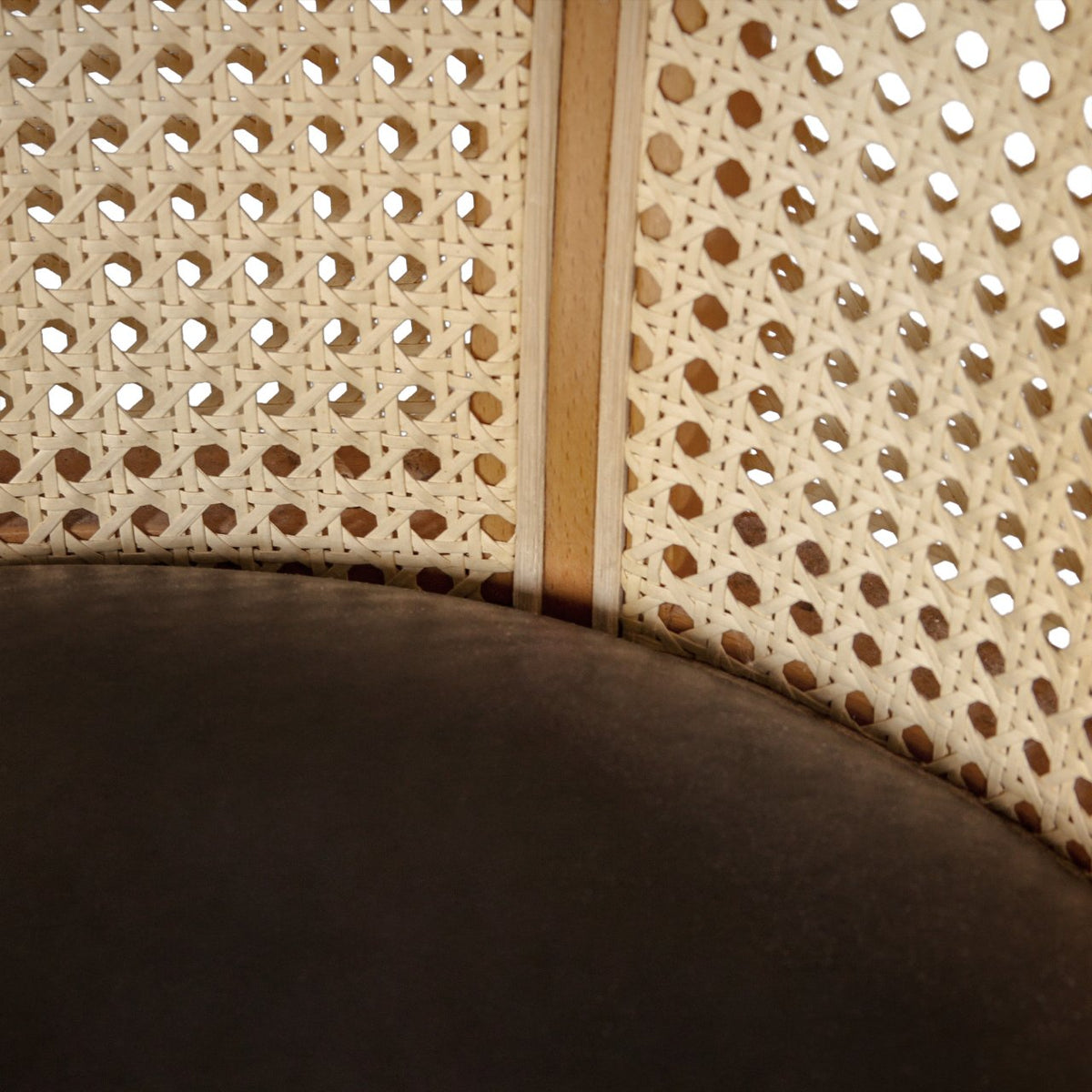 Modern Cane-back Barrel Chair