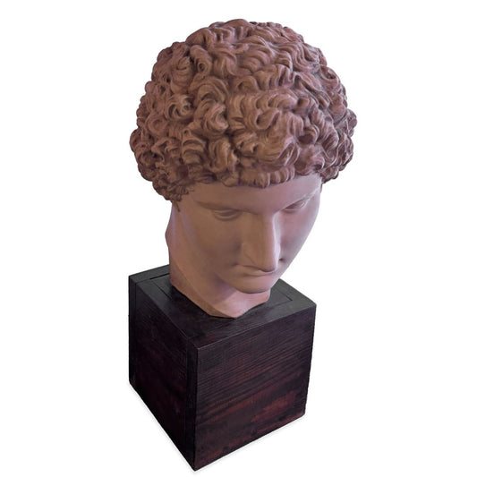 Vintage Terracotta Bust