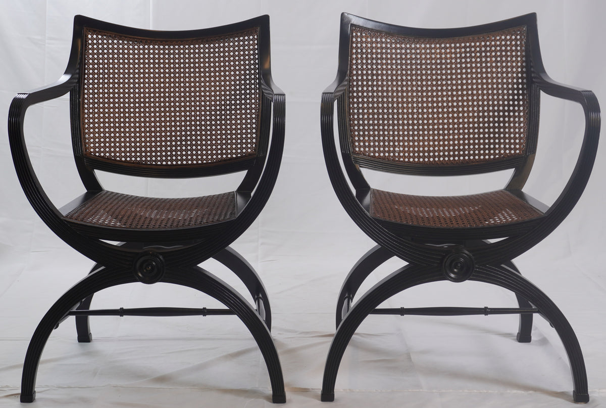 English Regency Style Mahogany and Cane Curule Form Armchairs