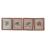Set of 8 Pocker and Sons Framed Botanicals