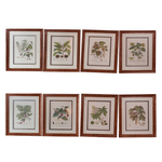 Set of 8 Pocker and Sons Framed Botanicals