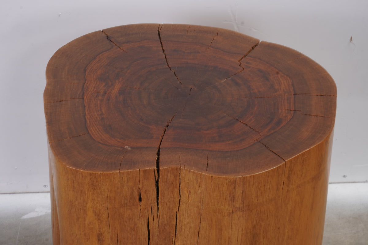 Modern Smooth Teak Tree Trunk Side Table